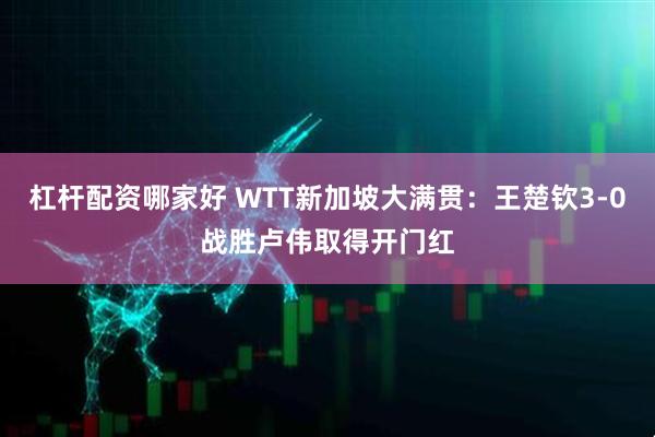 杠杆配资哪家好 WTT新加坡大满贯：王楚钦3-0战胜卢伟取得开门红
