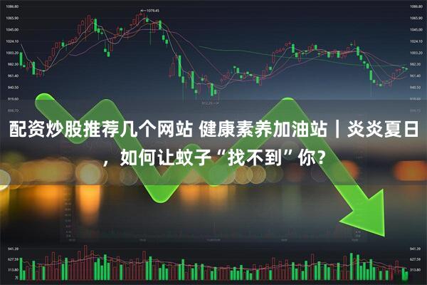 配资炒股推荐几个网站 健康素养加油站｜炎炎夏日，如何让蚊子“找不到”你？