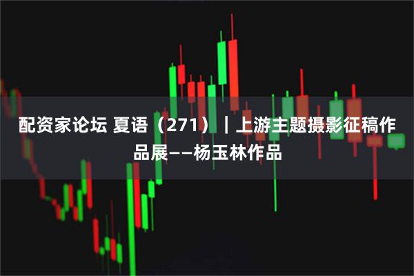 配资家论坛 夏语（271）｜上游主题摄影征稿作品展——杨玉林作品
